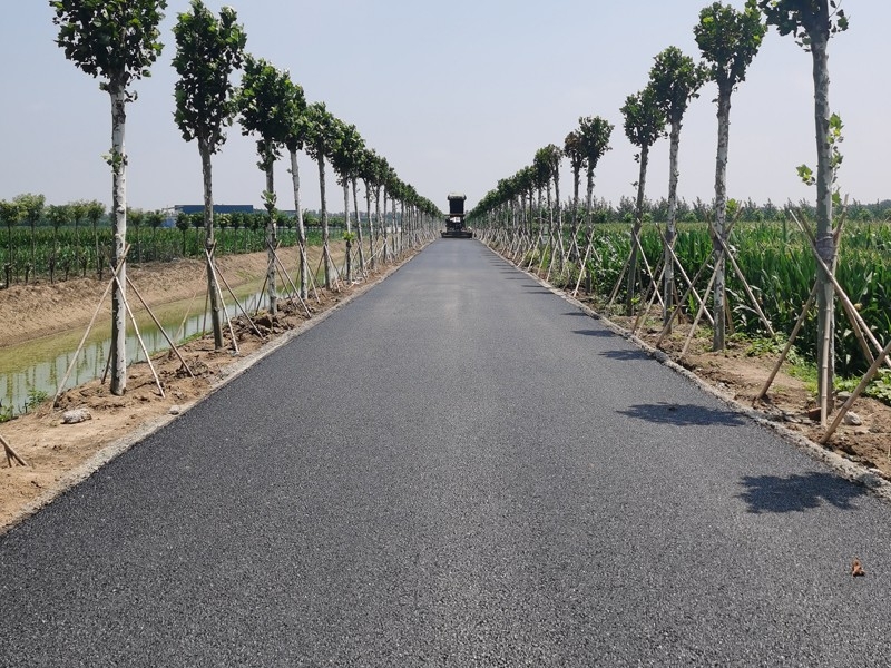 2021 年“四好農村路”建設漕河鎮(zhèn)進村路和主要街道改造工程